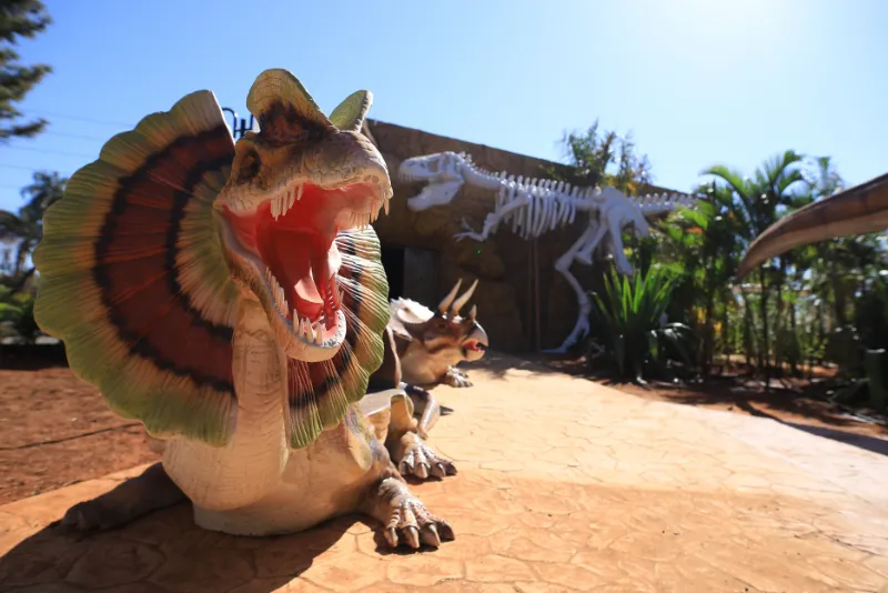 Imagem 6 do Vale dos Dinossauros
