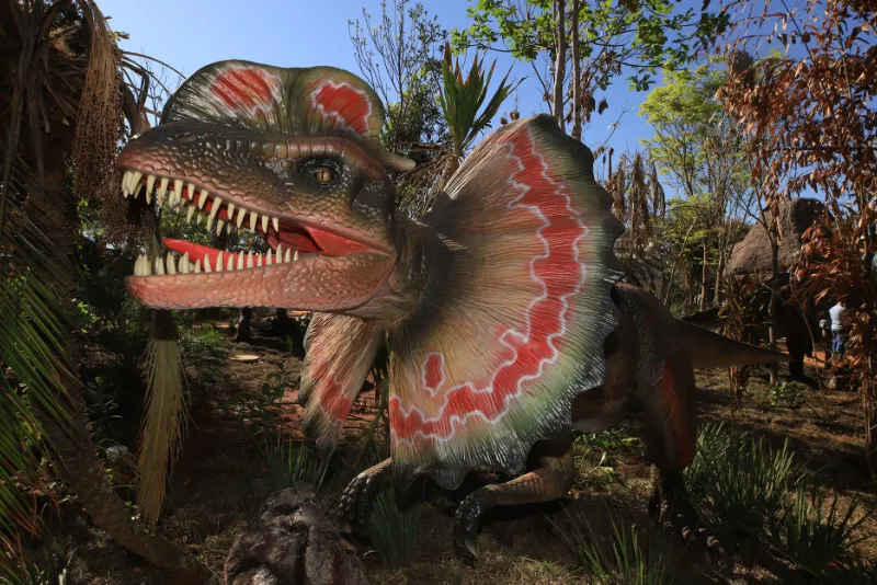 Imagem 7 do Vale dos Dinossauros