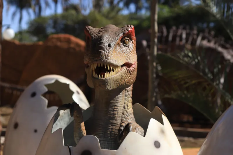Vale dos Dinossauros